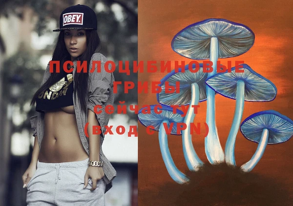 прущая мука Белая Холуница