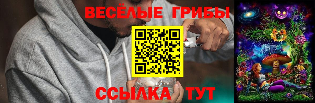 Аша  Псилоцибиновые грибы прущие грибы  Вход с VPN 